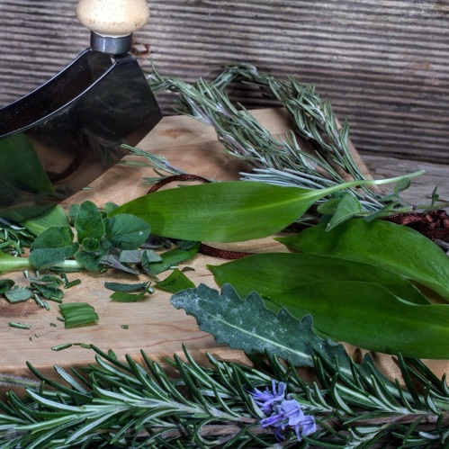 Kr&auml;uter, F&auml;rbepflanzen, Heilpflanzen - Geschichte, symbolische Bedeutung, Verwendung, Anlage von Beeten, Pflege